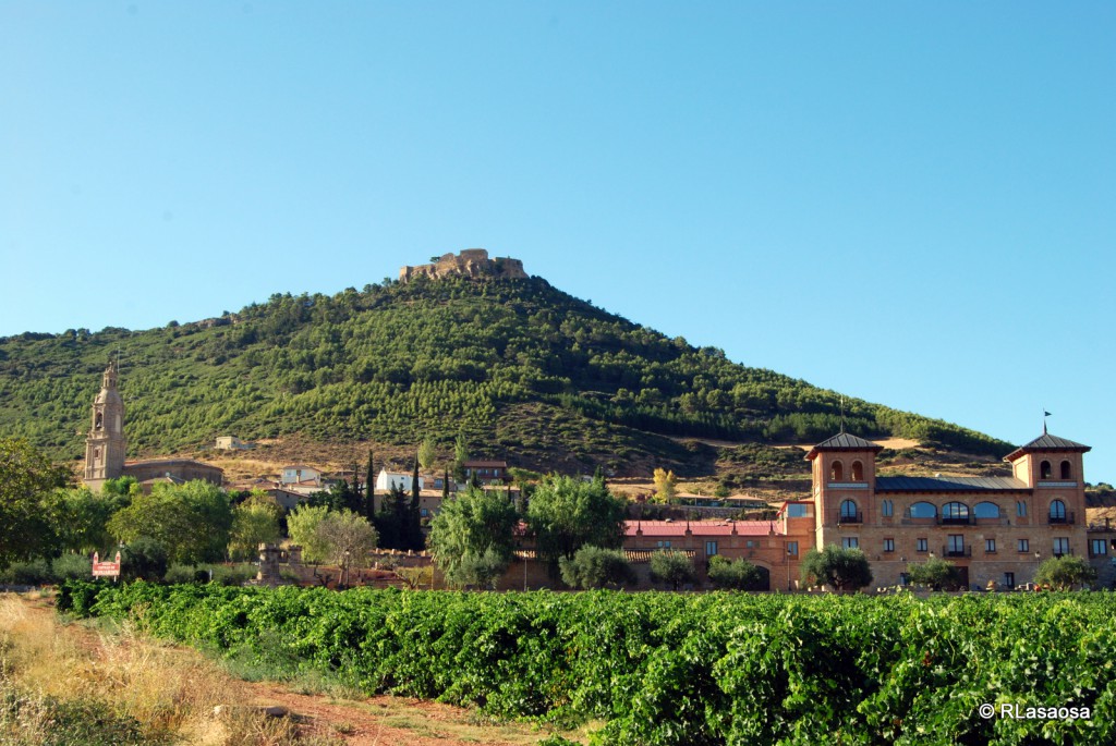 bodega monjardin